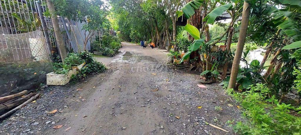 Nhà12,5×23m,Tlcc,1xẹt Tỉnh lộ9,về Q12 7km