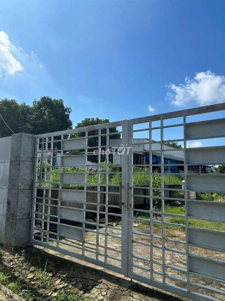 🔥 ĐẤT TÂN THÔNG HỘI – CỦ CHI 7*43m | GIÁ CHỈ 1 TỶ🔥