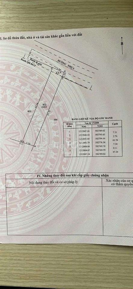 🔥 ĐẤT TÂN THÔNG HỘI – CỦ CHI 7*43m | GIÁ CHỈ 1 TỶ🔥