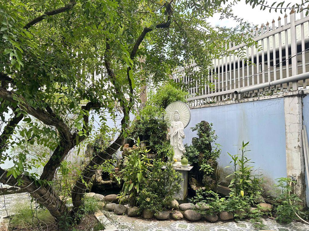 Cho Thuê Nhà Vườn Nghỉ Dưỡng 3000m² Mặt Tiền Sông Rạch Dứa