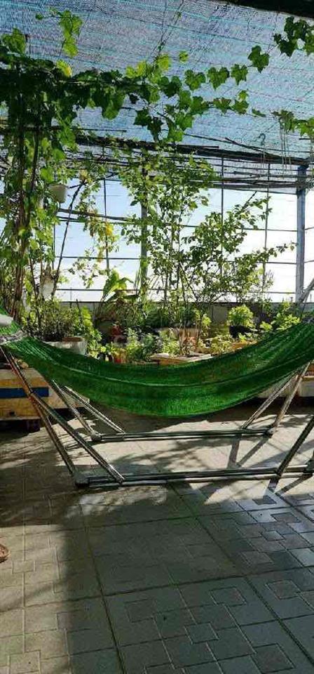 Nhà 1T2L HXH trục Nguyễn Duy Tinh, 56m2, chỉ 3.9 tỷ