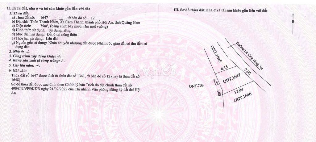 Cho Thuê đất 75m2 Cẩm Thanh Hội An (Gần rừng dừa bảy mẫu)