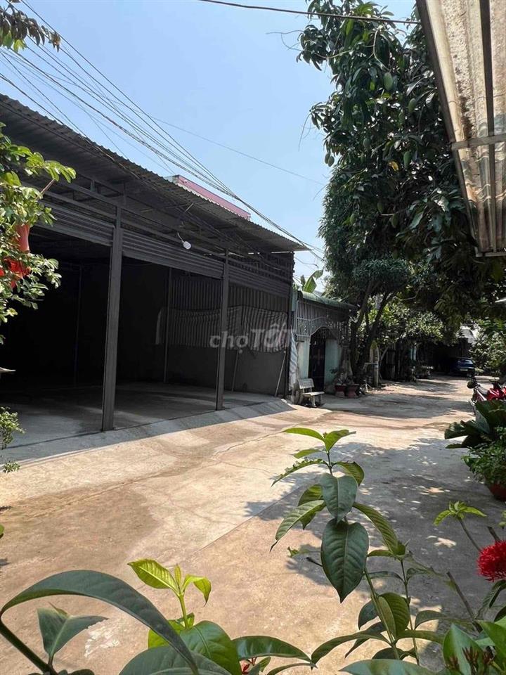 Cho thuê kho giá rẻ