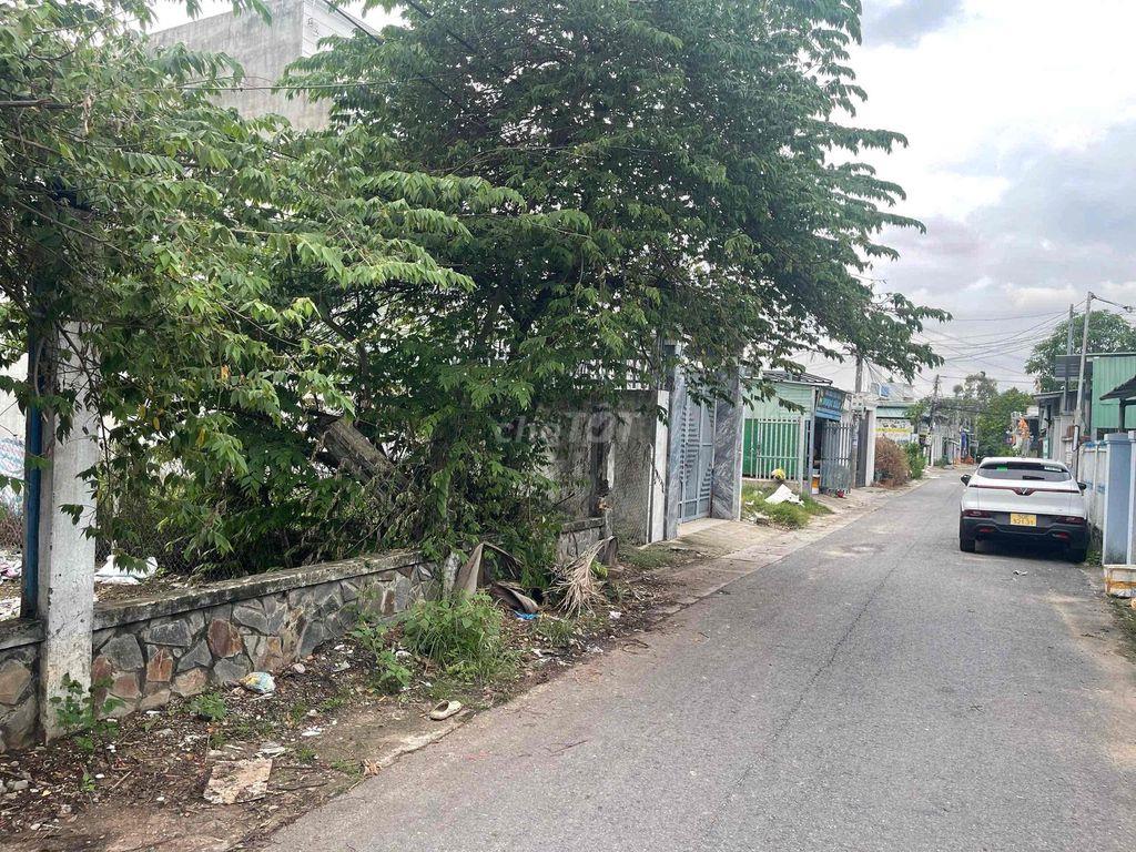 🏡 BÁN ĐẤT ĐẸP Hẻm 1101 LÊ HỒNG PHONG – GẦN CHỢ PHÚ VĂN🏡
