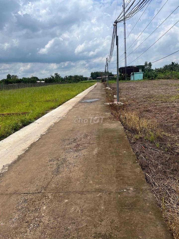 Cho thuê đất thổ cư cận sân bay Long Thành
