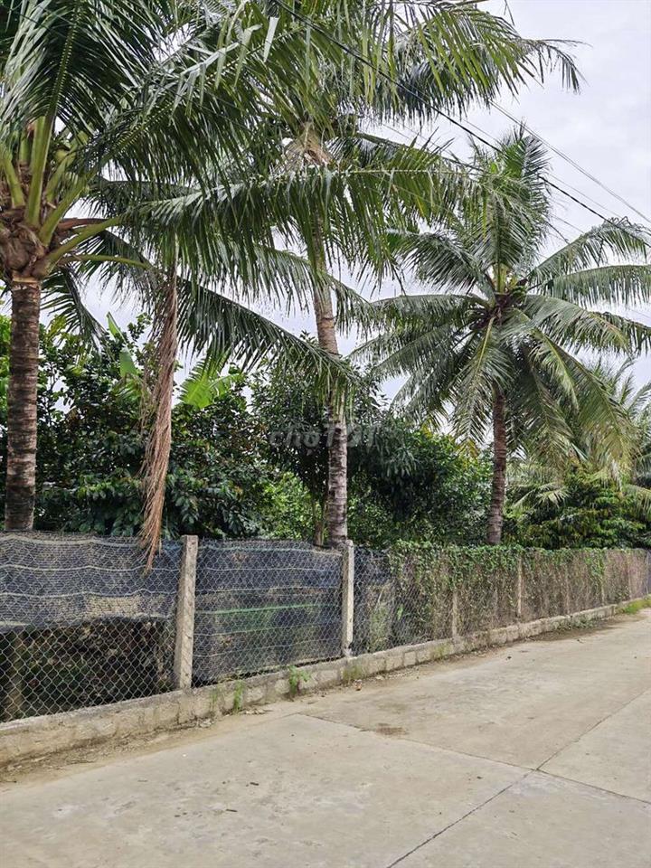 bán đất gấp . chính chủ.  xã vĩnh ngọc . phường tây nha trang