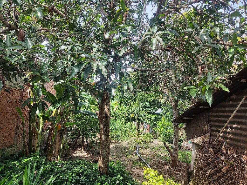 Bán đất kèm nhà cấp 4 cũ, đường nhựa 10m, khu dân cư bàn cờ