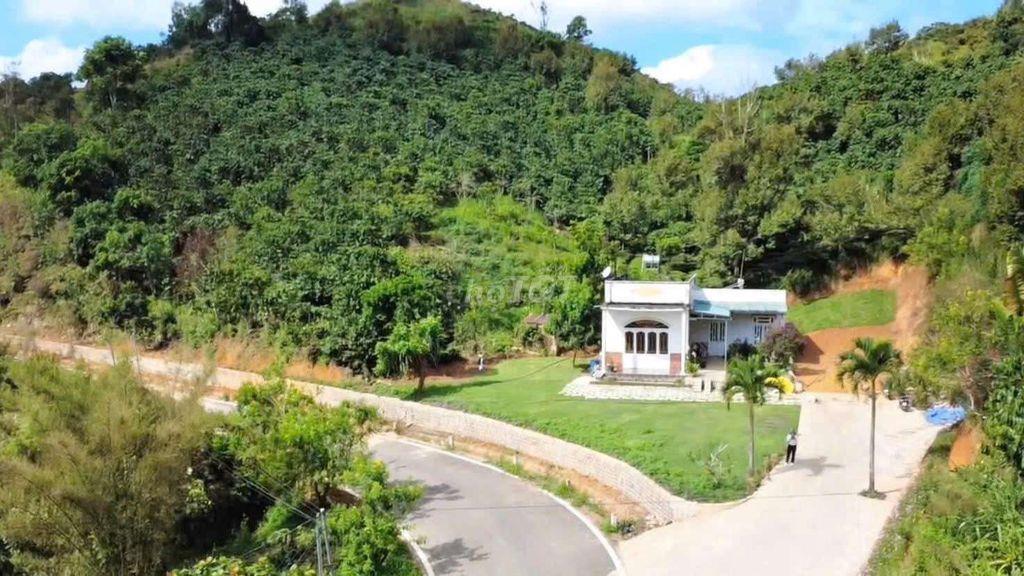 Cơ ngơi 1,45ha Baosire – 150 MT bán 5ti7, thu 600tr/năm