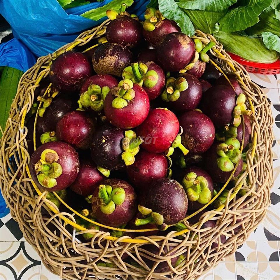 Cơ ngơi 1,45ha Baosire – 150 MT bán 5ti7, thu 600tr/năm