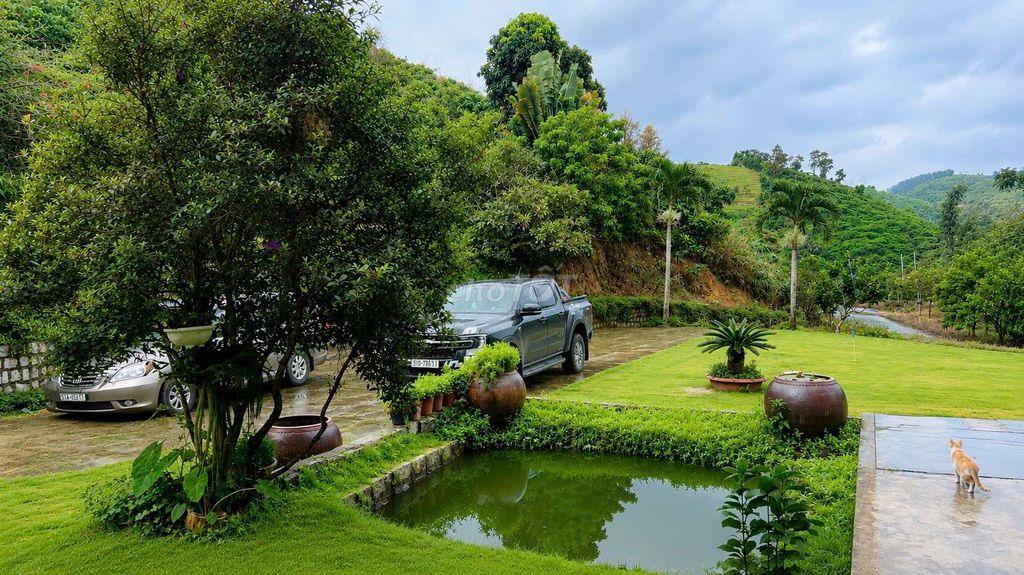 Cơ ngơi 1,45ha Baosire – 150 MT bán 5ti7, thu 600tr/năm