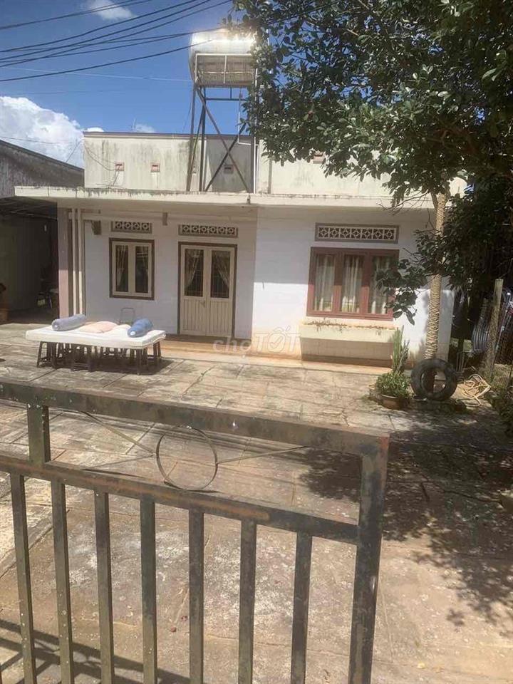 🏡 CHO THUÊ NHÀ CẤP 4 – KHU VỰC XUÂN THỌ, ĐÀ LẠT
