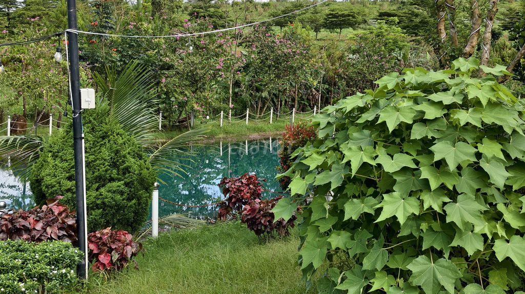 Đất nền 200m2 Tại Phường 2 Bảo Lộc