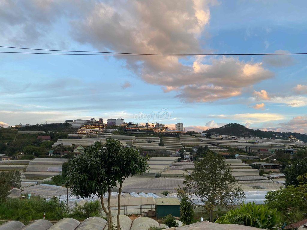 Cho thuê đất view đẹp