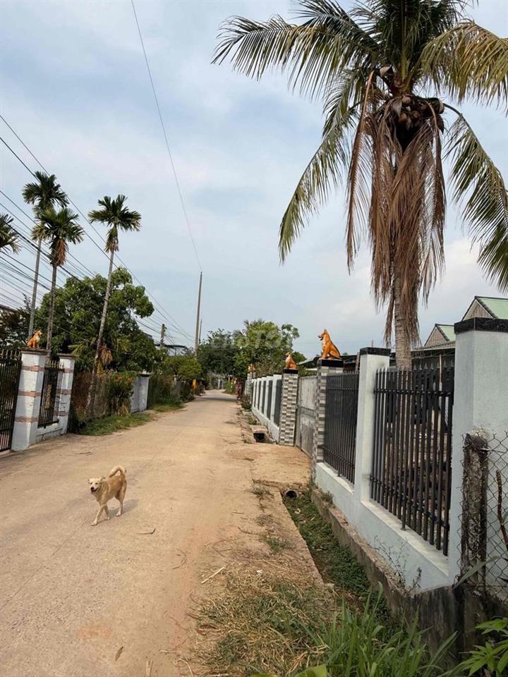 BÁN ĐẤT TÂY NINH 299,8M² – CÓ SẴN 100M² THỔ CƯ – GIÁ 1,3 TỶ