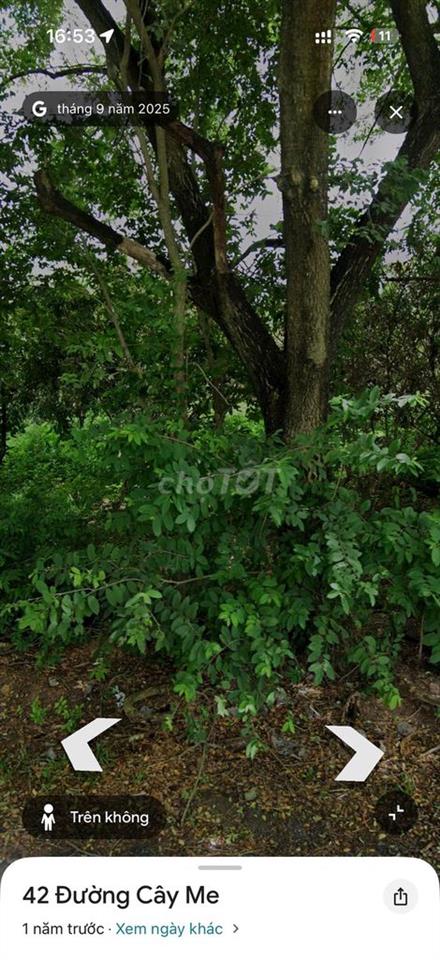Bán đất tại Cây Me, xã Phước Đông, huyện Gò Dầu, 8 tỷ, 2000 m2