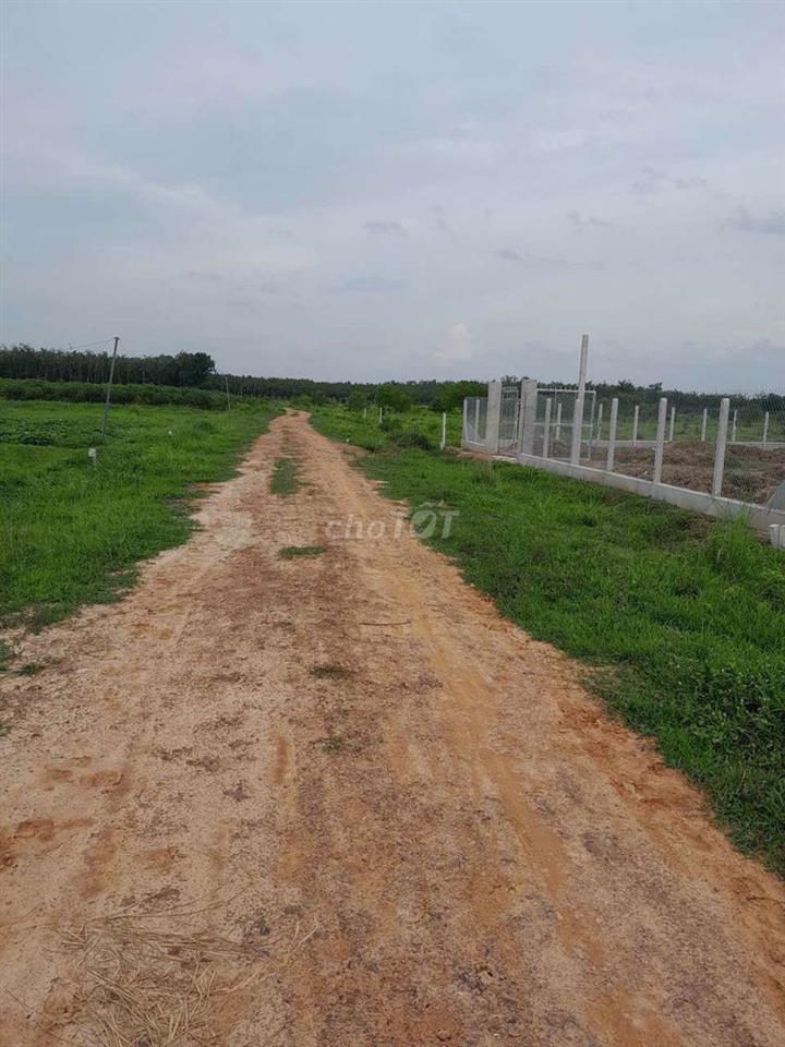 Cần bán đất an thọ