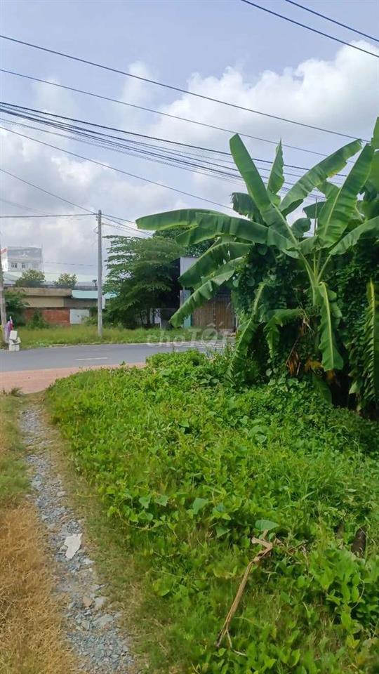 cần bán lô đất