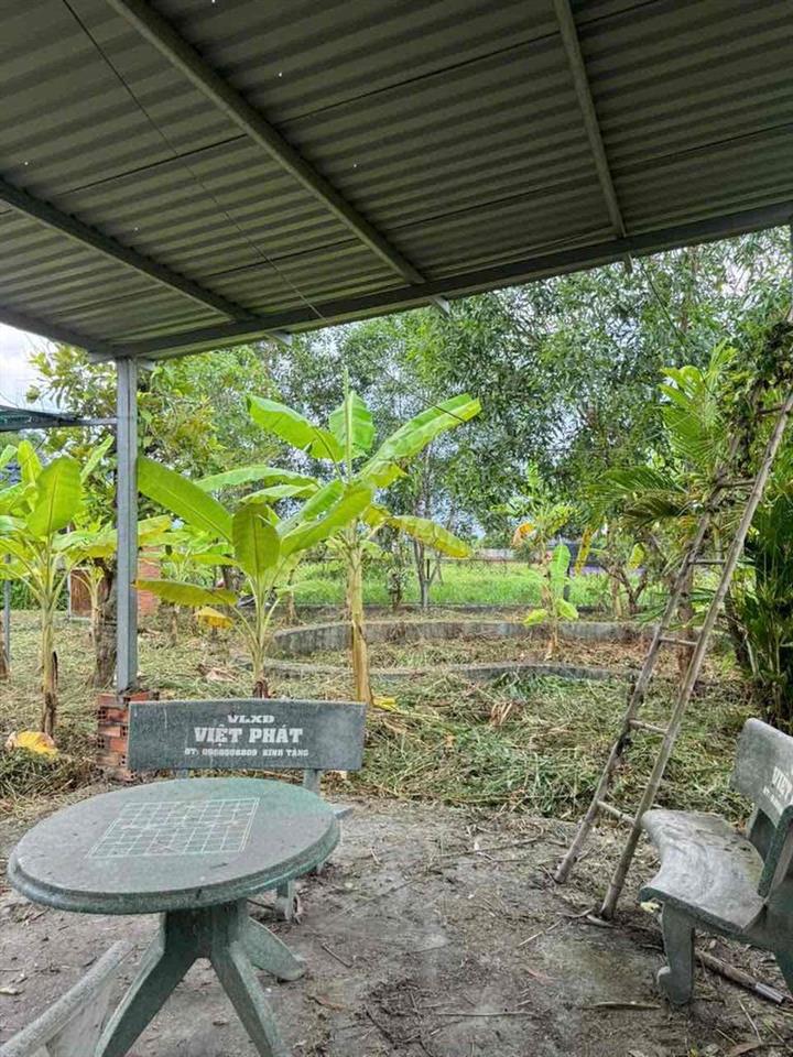 Bán đất vườn