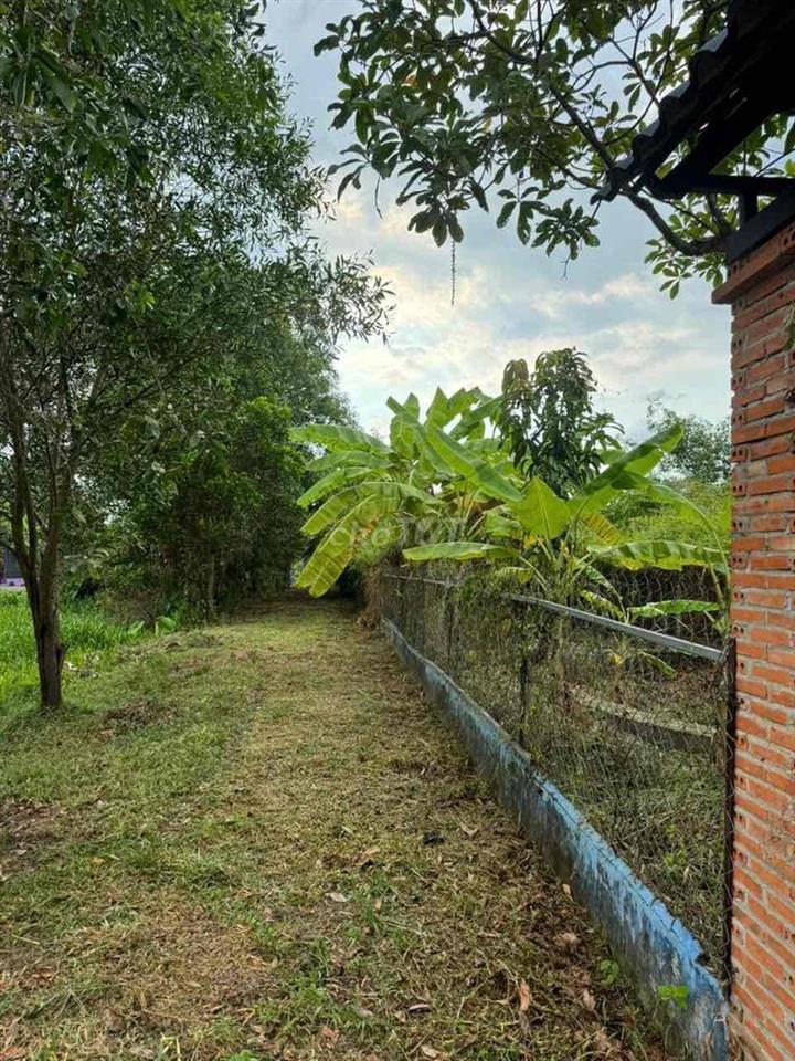 Bán đất vườn