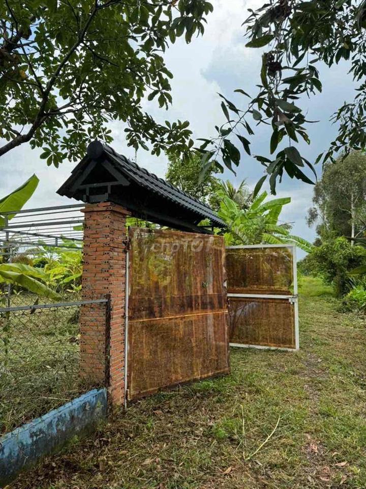 Bán đất vườn