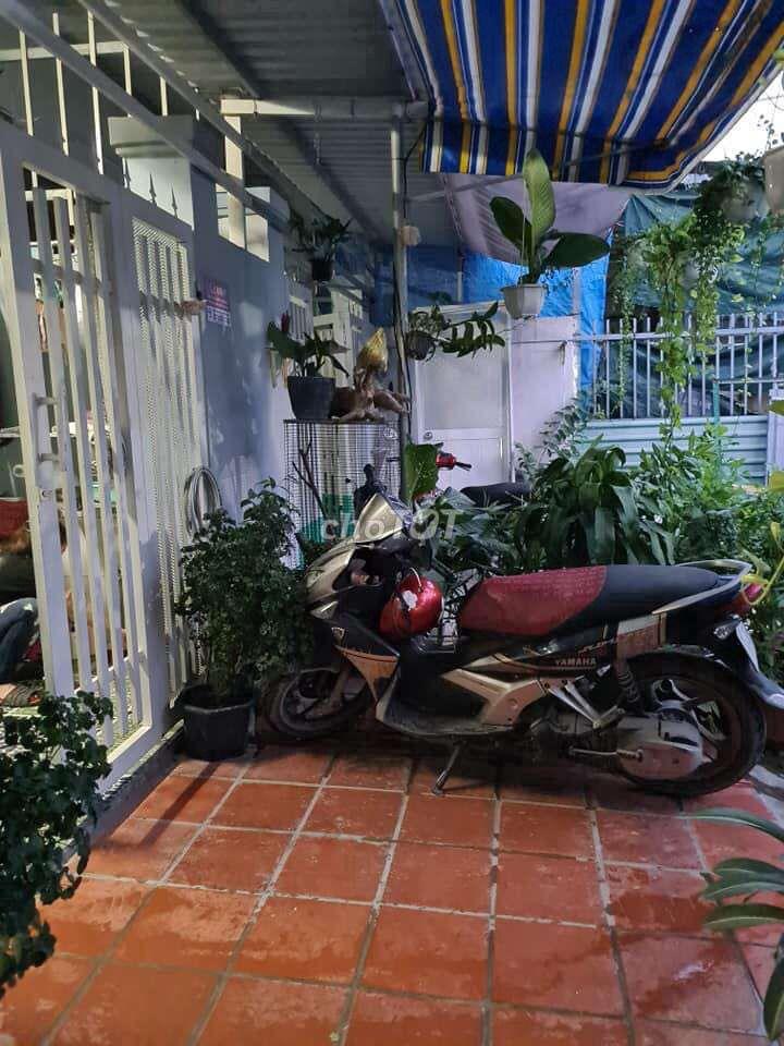 Cho thuê nhà nguyên căn