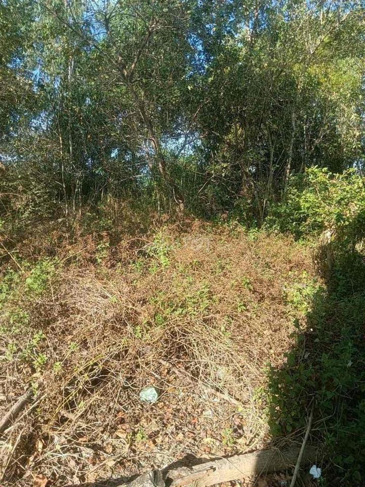 bán đất chính chủ