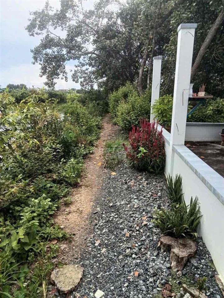 bán đất chính chủ
