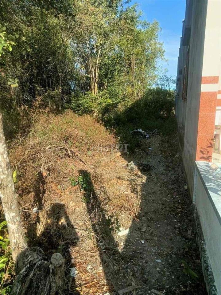 bán đất chính chủ