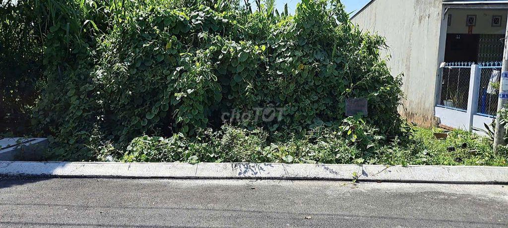Bán cặp nền sát KCN An Nhơn Cái Tàu Hạ - 280m2 Thổ cư 100% xây trọ tốt