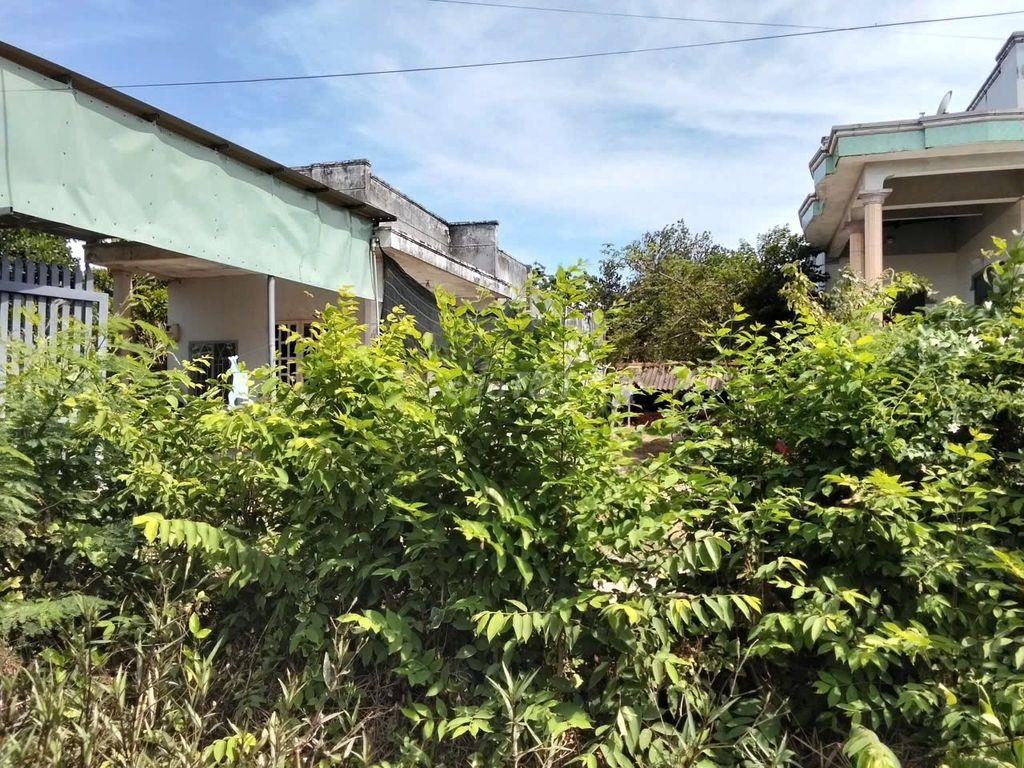 💥 NGÂN HÀNG THANH LÝ ĐẤT ĐẸP – GIÁ CỰC TỐT 💥