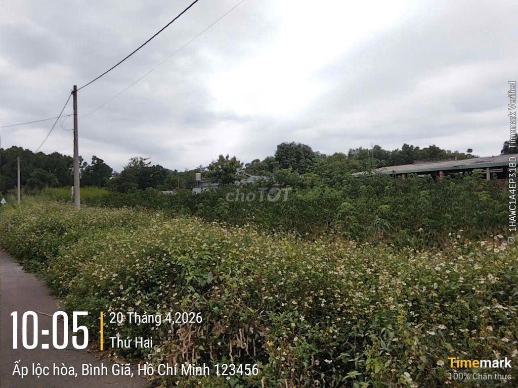 💥 NGÂN HÀNG THANH LÝ ĐẤT ĐẸP – GIÁ CỰC TỐT 💥