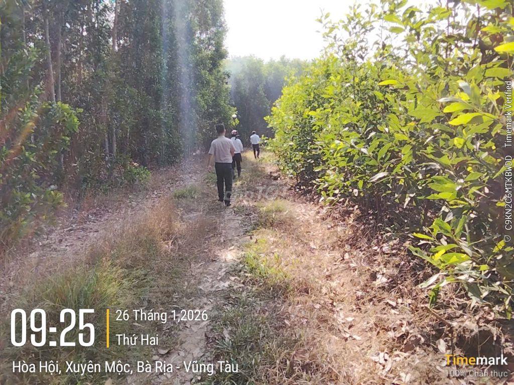 💥💥 ĐẤT ĐẸP – GIÁ TỐT – CƠ HỘI ĐẦU TƯ 💥💥