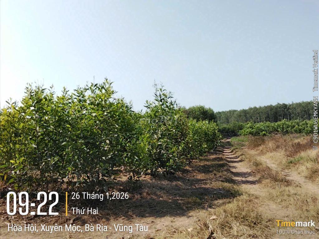 💥💥 ĐẤT ĐẸP – GIÁ TỐT – CƠ HỘI ĐẦU TƯ 💥💥