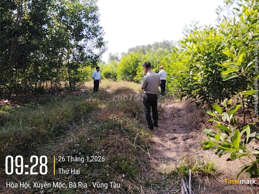 💥💥 ĐẤT ĐẸP – GIÁ TỐT – CƠ HỘI ĐẦU TƯ 💥💥