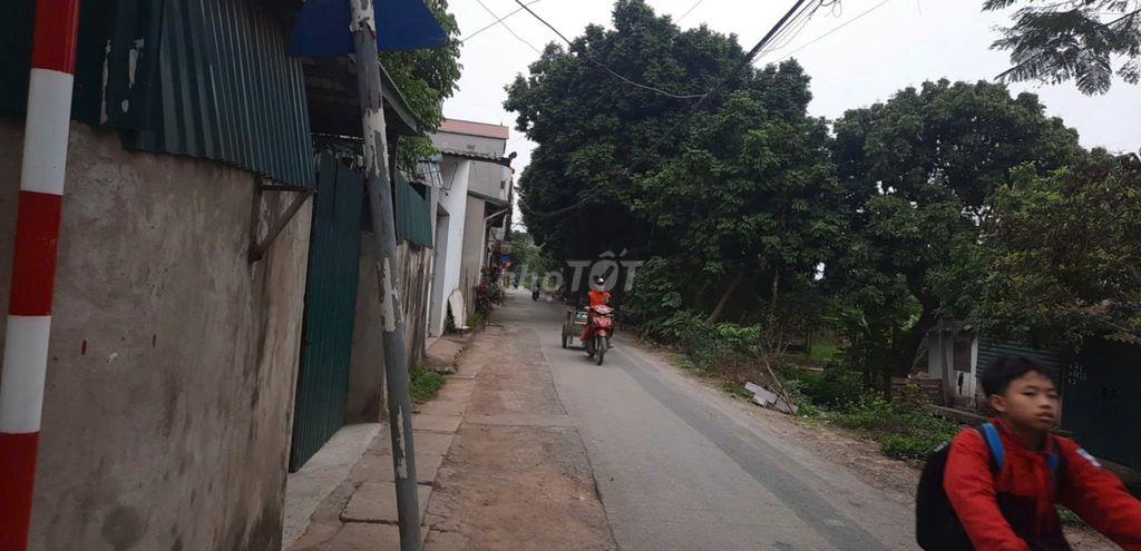 Bán nhà cấp 4
