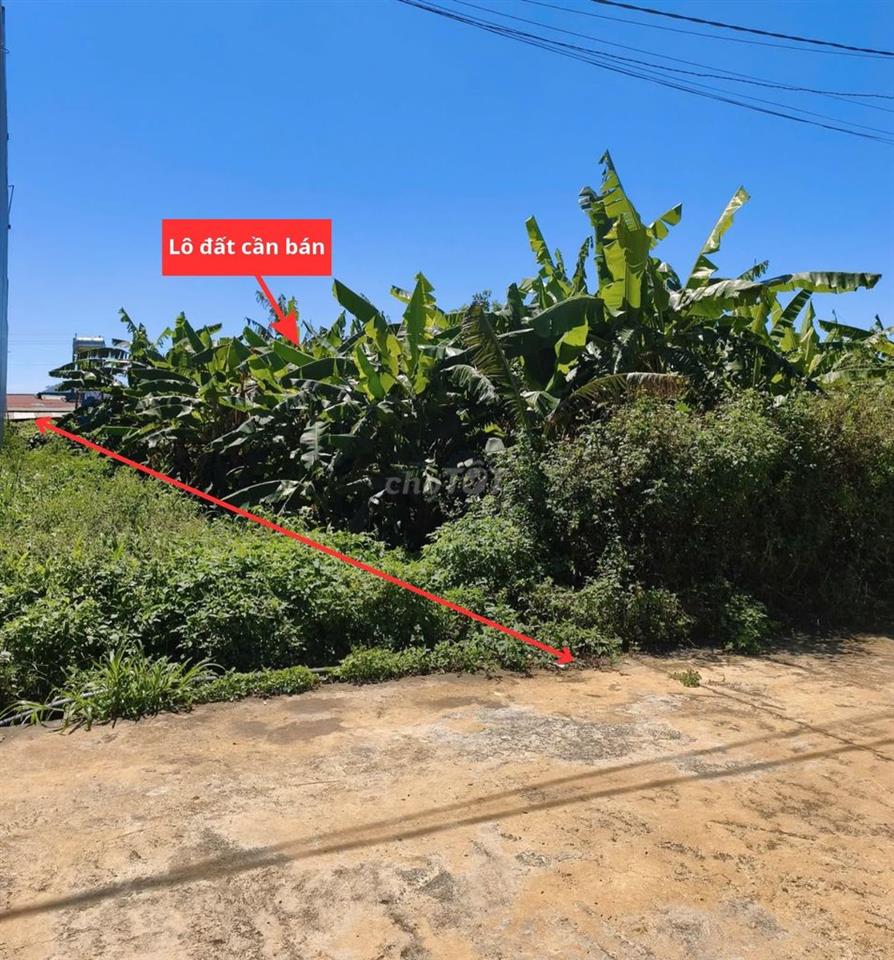 CẦN BÁN GẤP LÔ ĐẤT TẠI XÓM SỢ VỢ - LIÊN HIỆP - ĐỨC TRỌNG