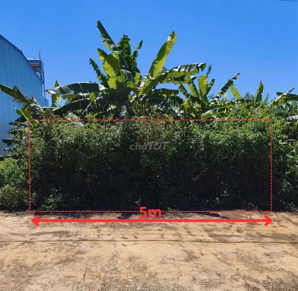 CẦN BÁN GẤP LÔ ĐẤT TẠI XÓM SỢ VỢ - LIÊN HIỆP - ĐỨC TRỌNG