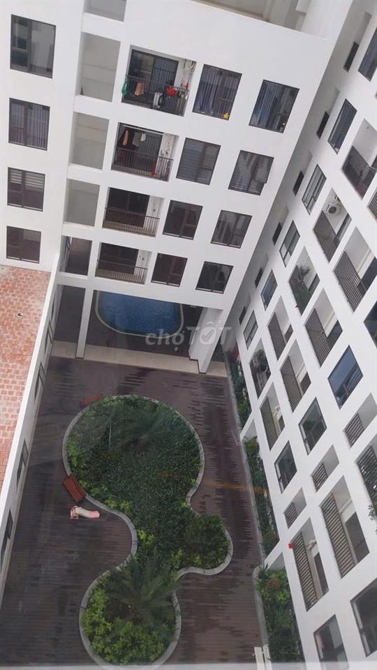 Chung cư Ben Hill, đẹp, nhiều tiện ích, 4.5 triệu VND, 36 m2