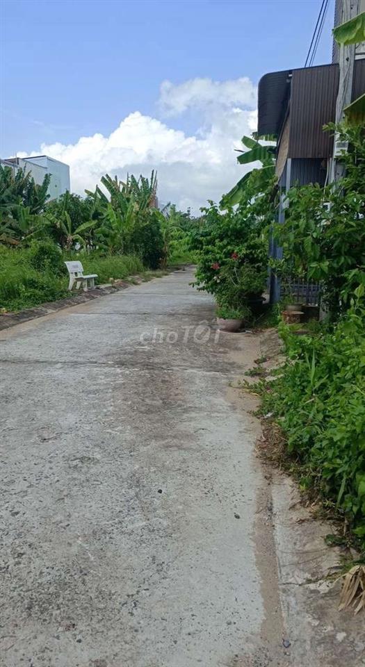ĐẤT RẺ LONG XUYÊN 