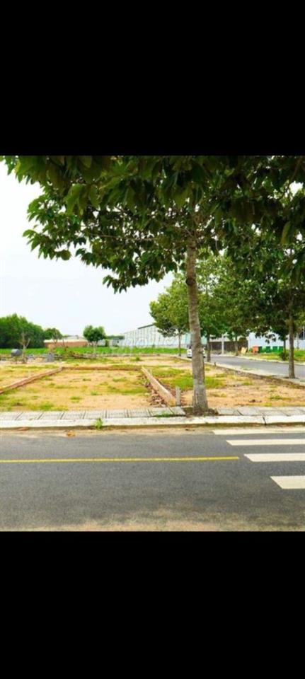 Đất an viễn shr