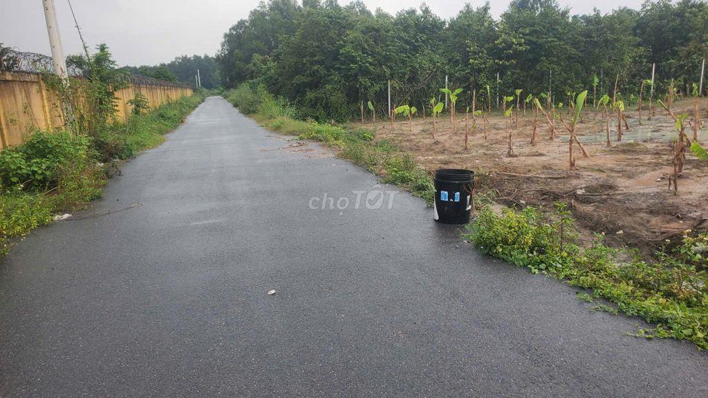 ĐẤT MẶT TIỀN ĐƯỜNG NHỰA, XÃ PHẠM VĂN CỘI, CỦ CHI