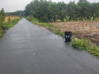 ĐẤT MẶT TIỀN ĐƯỜNG NHỰA, XÃ PHẠM VĂN CỘI, CỦ CHI