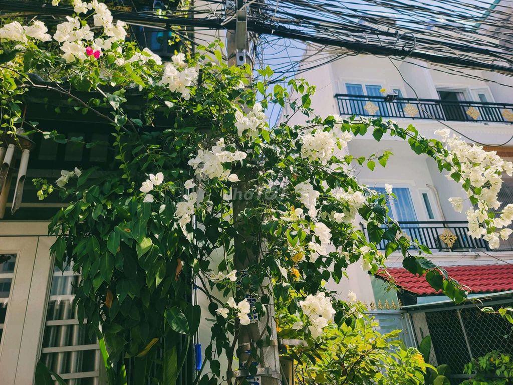 Nhà 2 tầng hẻm 2581 sát chung cư Anh Tuấn