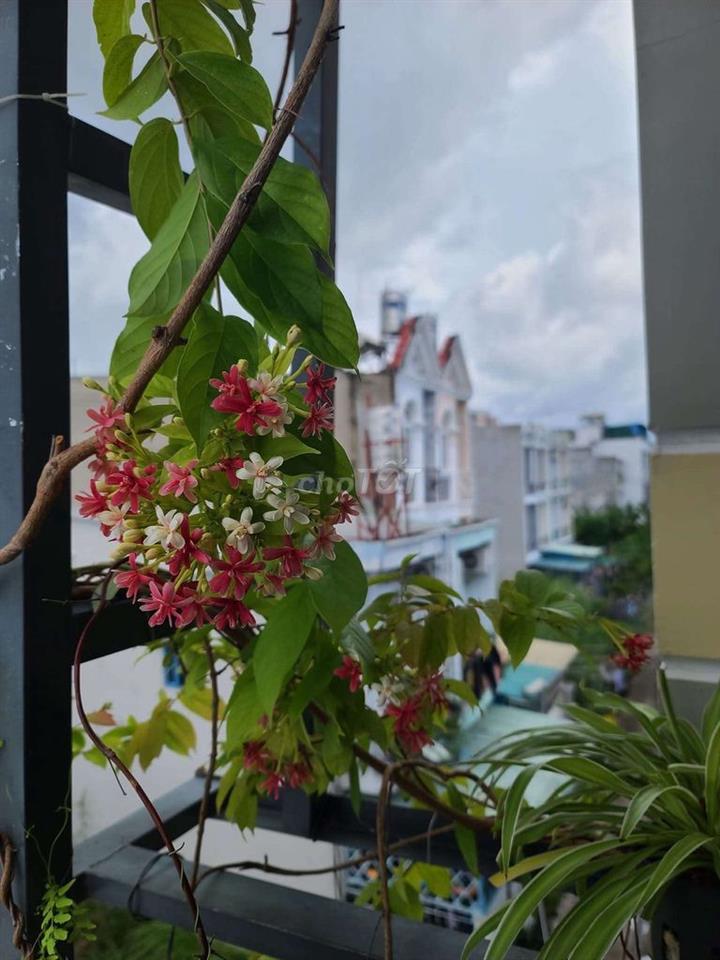 Nhà 2 tầng hẻm 2581 sát chung cư Anh Tuấn