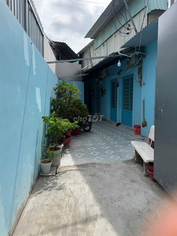 Cho thuê nhà trọ nguyên căn mới cây