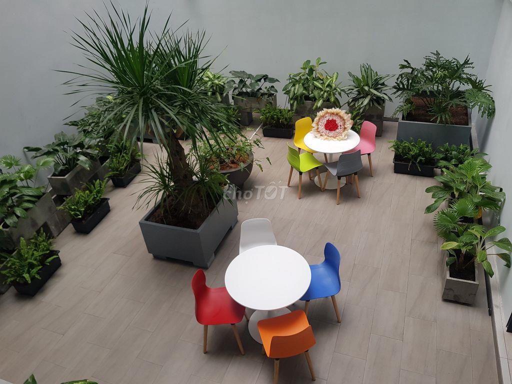 Cho thuê văn phòng, mặt bằng kinh doanh