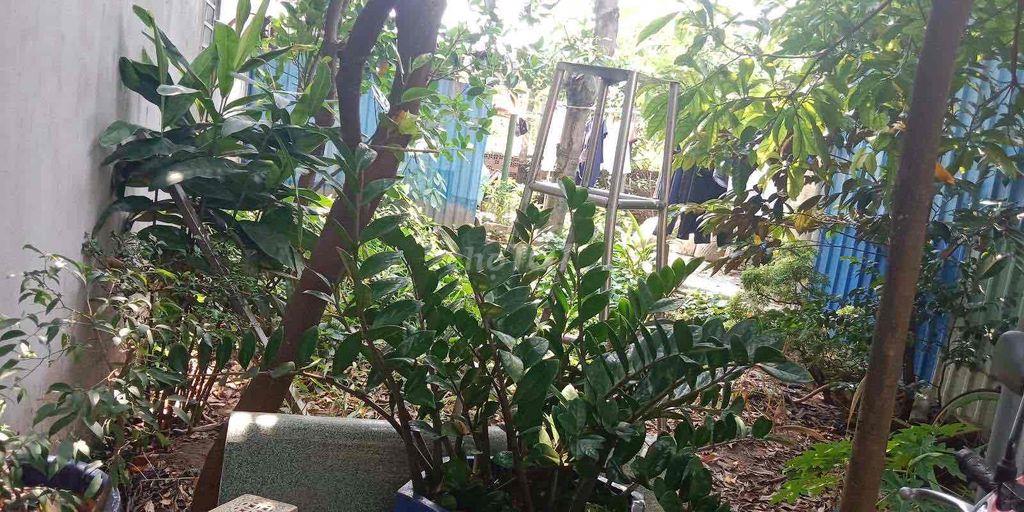 Đất nền Tân Phước Khánh
