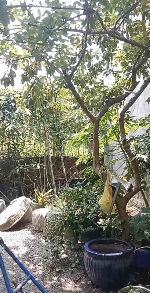 Đất nền Tân Phước Khánh