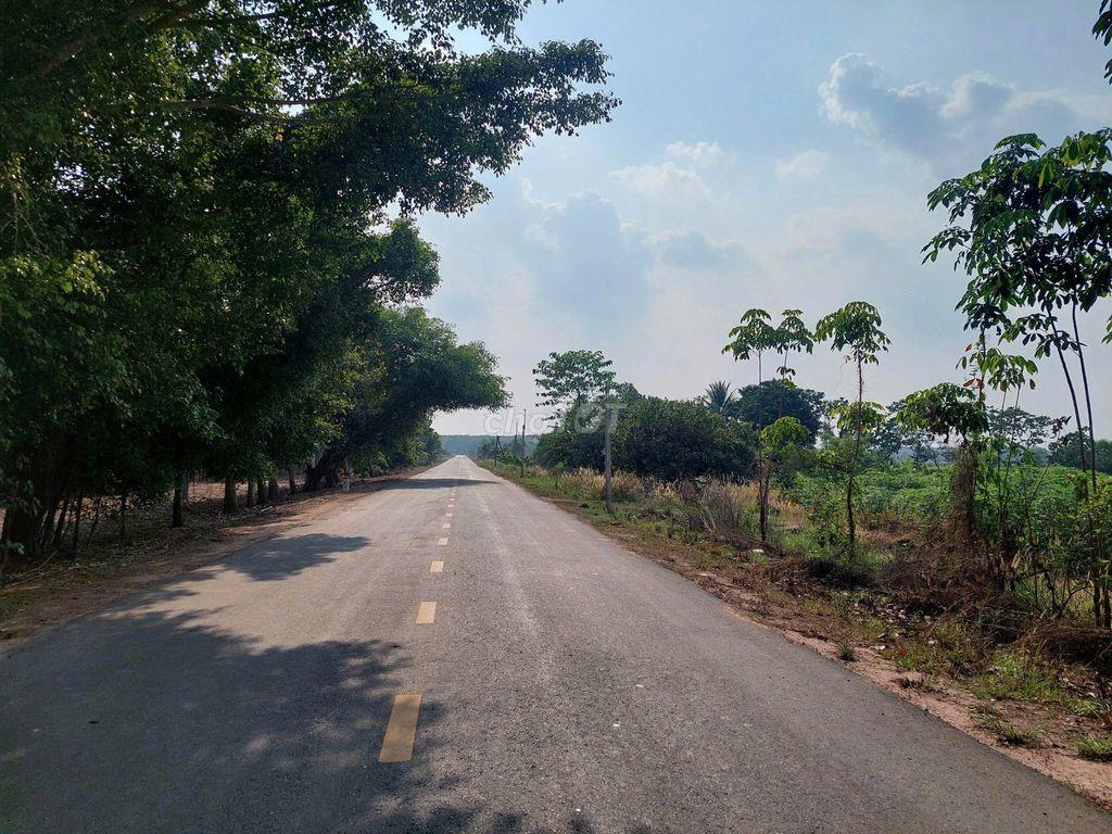 BÁN ĐẤT MẶT TIỀN ĐT785B – TÂN CHÂU, TÂY NINH