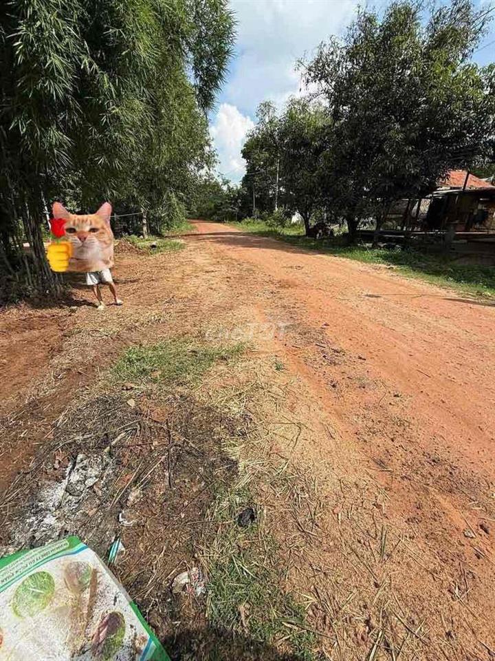 Bán đất Bình Dương